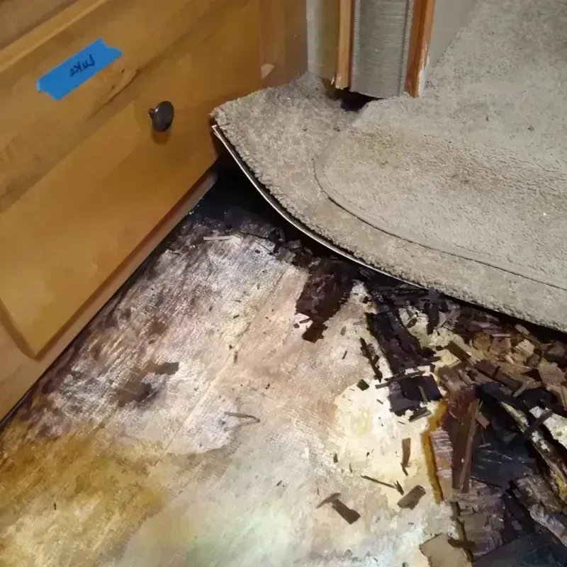 Best Wood Floor Water Damage Service in Ishpeming, MI